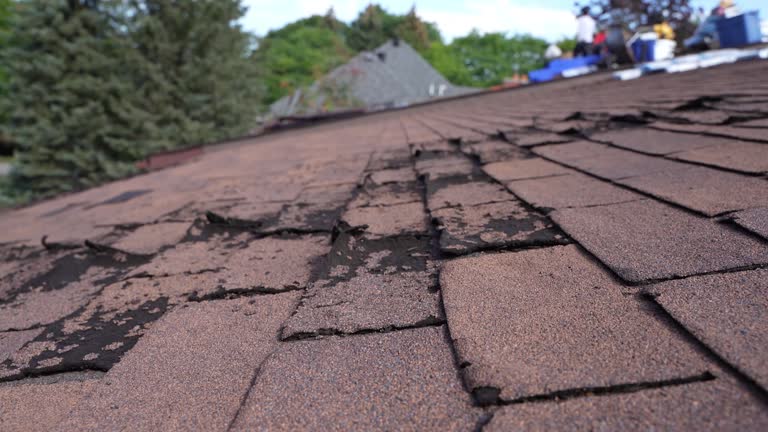 Best Steel Roofing  in Lathrup Village, MI