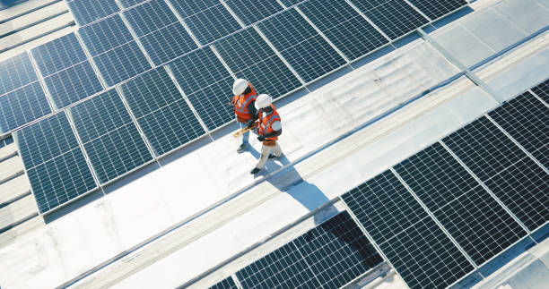 Best Roof Moss and Algae Removal  in Lathrup Village, MI